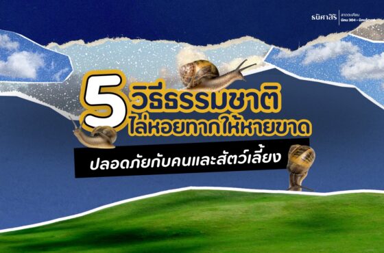 5 วิธีธรรมชาติ ไล่หอยทาก ให้หายขาด