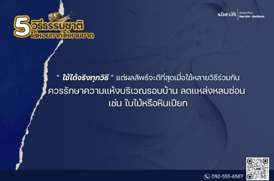 5 วิธีธรรมชาติ ไล่หอยทาก ให้หายขาด